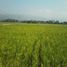  Terreno (Parcela) en venta en Sumurbandung, West Jawa, Sumurbandung, Bandung