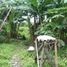  Land for sale in Gamping, Sleman, Gamping