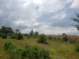  Terreno (Parcela) en venta en Amealco De Bonfin, Querétaro, Amealco De Bonfin