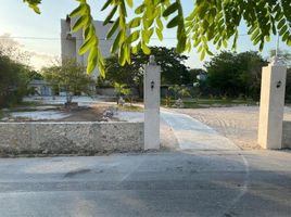  Grundstück zu vermieten in Conkal, Yucatan, Conkal