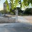  Land for rent in Conkal, Yucatan, Conkal, Yucatan