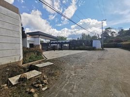 Terrain à vendre à Rionegro, Antioquia, Rionegro, Antioquia