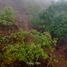  Land for sale in Calnali, Hidalgo, Calnali