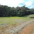Terrain à vendre à Rionegro, Antioquia, Rionegro