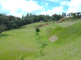 Terrain à vendre à Rionegro, Antioquia, Rionegro