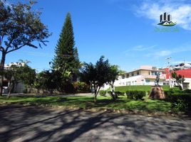  Terreno (Parcela) en venta en Coatepec, Veracruz, Coatepec