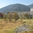  Terreno (Parcela) en venta en Cuajimalpa De Morelos, Ciudad de México, Cuajimalpa De Morelos