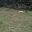  Land for sale in Neira, Caldas, Neira