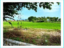  Land for sale in Prambanan, Klaten, Prambanan