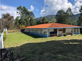 4 Habitación Villa en venta en Parque de los Pies Descalzos, Medellín, Medellín