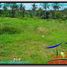  Land for sale in Kerambitan, Tabanan, Kerambitan