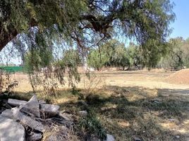  Grundstück zu verkaufen in Chiautla, Mexico, Chiautla