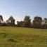  Land for sale in Caleu Caleu, La Pampa, Caleu Caleu, La Pampa