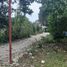  Terreno (Parcela) en venta en Dauis, Central Visayas, Dauis
