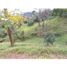  Land for sale in Girardota, Antioquia, Girardota