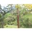  Land for sale in Girardota, Antioquia, Girardota