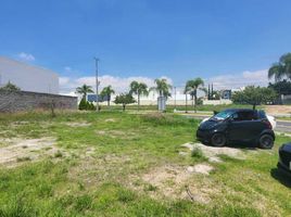 Terrain à vendre à Zapopan, Jalisco, Zapopan, Jalisco