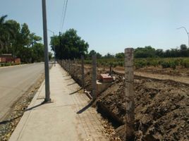  Land for sale in Guasave, Sinaloa, Guasave