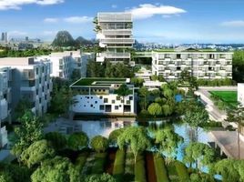  Land for sale in O Cho Dua, Hanoi, O Cho Dua, Dong Da, Hanoi