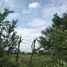  Land for sale in Tlaquepaque, Jalisco, Tlaquepaque