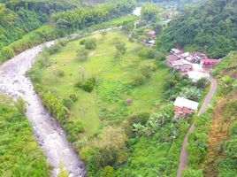  Terreno (Parcela) en venta en Manizales, Caldas, Manizales