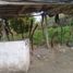  Grundstück zu verkaufen in Huitzilac, Morelos, Huitzilac, Morelos