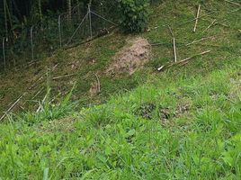  Grundstück zu verkaufen in Dosquebradas, Risaralda, Dosquebradas