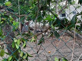  Grundstück zu verkaufen in Coatzintla, Veracruz, Coatzintla
