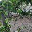  Grundstück zu verkaufen in Coatzintla, Veracruz, Coatzintla