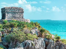  Grundstück zu verkaufen in Cozumel, Quintana Roo, Cozumel