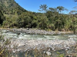 1 Habitación Casa en venta en San Miguel de los Bancos, Pichincha, Mindo, San Miguel de los Bancos