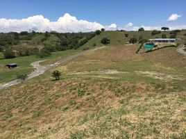  Terreno (Parcela) en venta en Cartago, Valle Del Cauca, Cartago