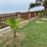 4 Habitación Casa en alquiler en Manabi, Noboa, 24 De Mayo, Manabi