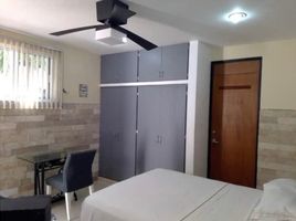  Appartement zu vermieten in Merida, Yucatan, Merida