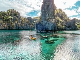  Land for sale in El Nido, Palawan, El Nido