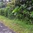  Land for sale in Selemadeg, Tabanan, Selemadeg