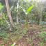  Land for sale in Selemadeg, Tabanan, Selemadeg