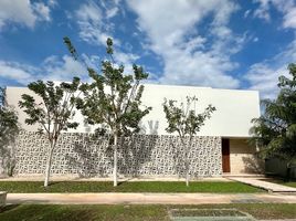 在Yucatan出租的4 卧室 屋, Conkal, Yucatan