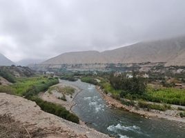  토지을(를) Lunahuana, Ca��ete에서 판매합니다., Lunahuana