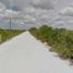  Land for sale in Celestun, Yucatan, Celestun