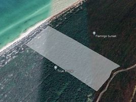  Land for sale in Celestun, Yucatan, Celestun