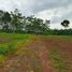  Land for sale in Pekalongan, Jawa Tengah, Kajem, Pekalongan