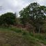 Terrain à vendre à Tlalnelhuayocan, Veracruz, Tlalnelhuayocan