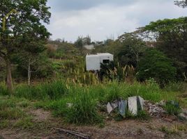 Terrain à vendre à Tlalnelhuayocan, Veracruz, Tlalnelhuayocan