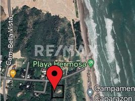  Land for sale in Pueblo Viejo, Veracruz, Pueblo Viejo
