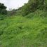  Land for sale in Jiutepec, Morelos, Jiutepec