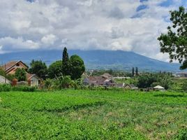  Grundstück zu verkaufen in Bumiaji, East Jawa, Bumiaji, Malang Regency