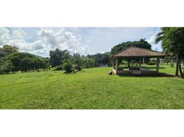  Land for sale in Cocle, El Coco, Penonome, Cocle