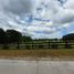  Land for sale in Llanquihue, Los Lagos, Puerto Varas, Llanquihue