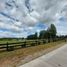  Land for sale in Llanquihue, Los Lagos, Puerto Varas, Llanquihue